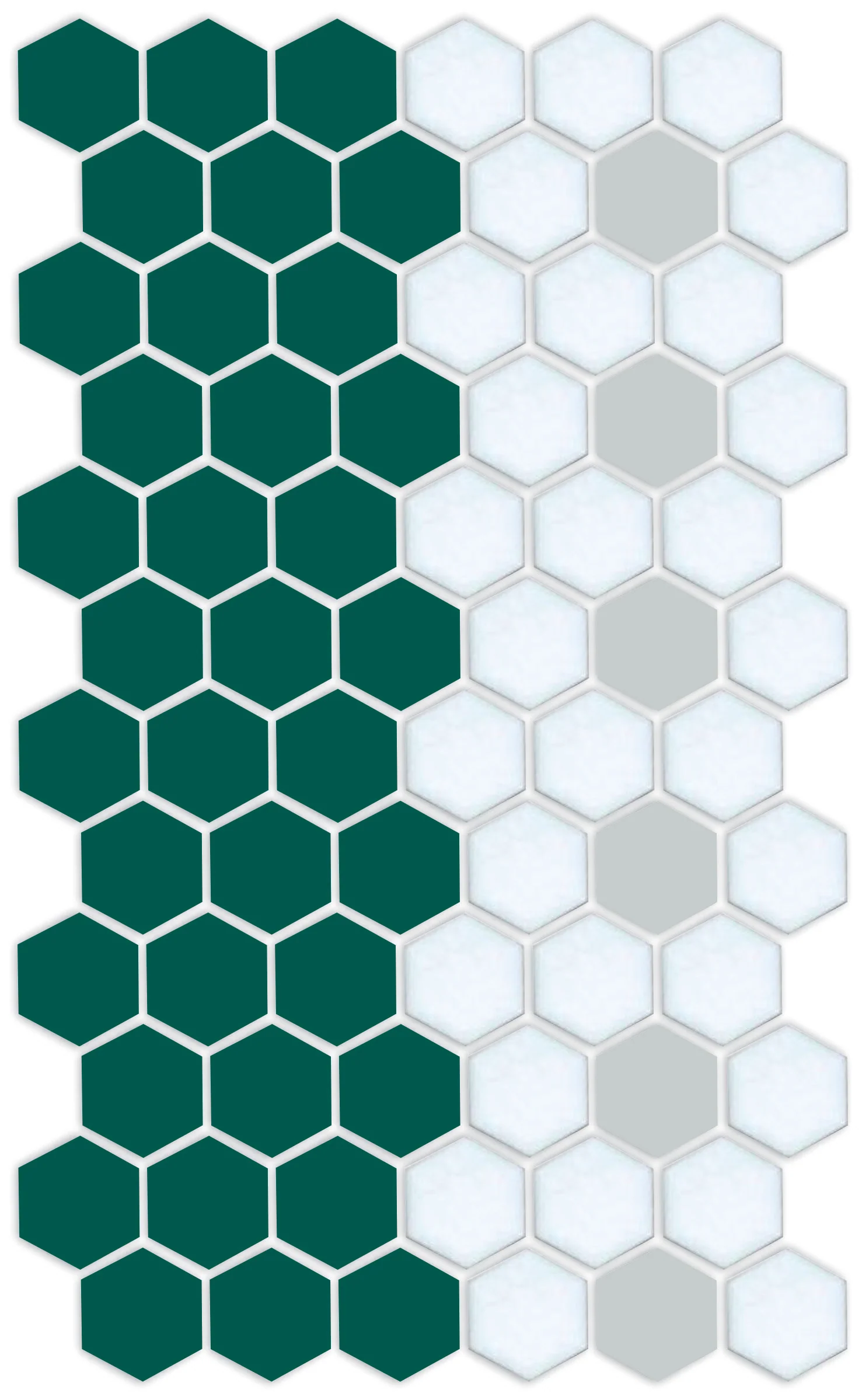Bella Border | Pinnacle Hexagon Border - Image 3