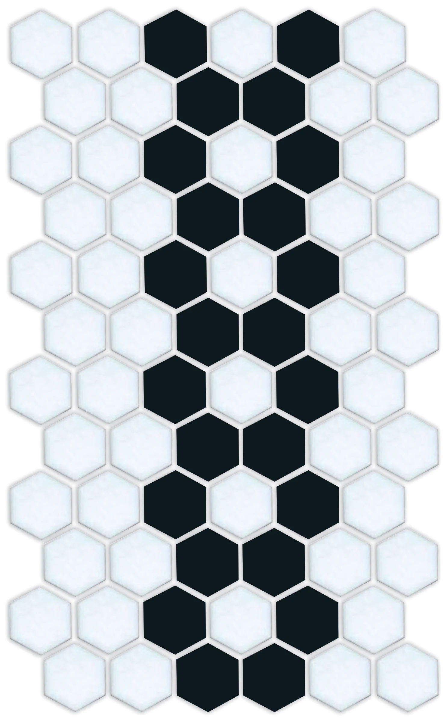 Daisy Chain | Pinnacle Hexagon Border - Image 10
