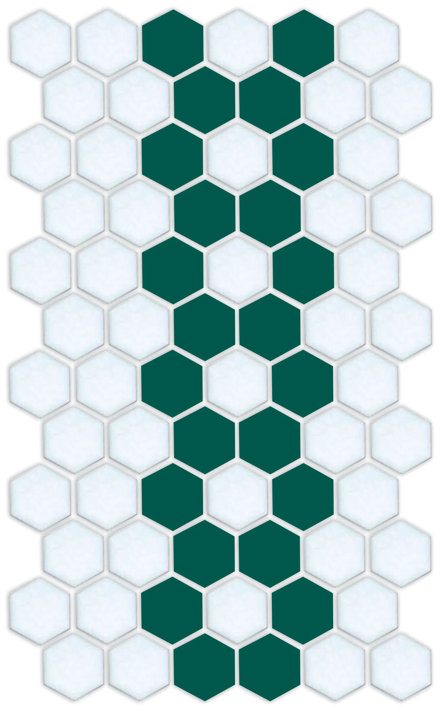 Daisy Chain | Pinnacle Hexagon Border - Image 11