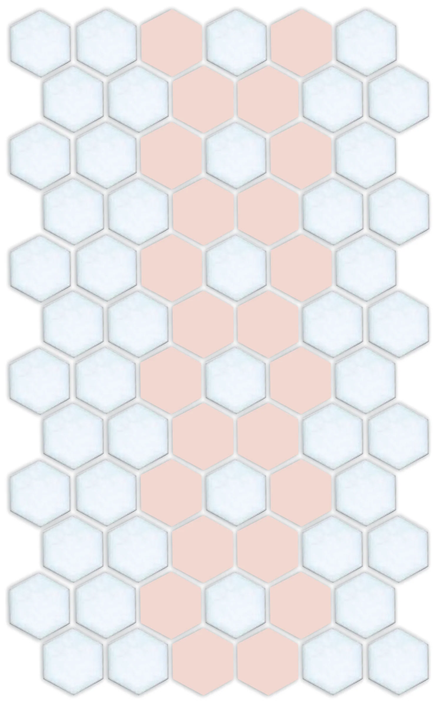 Daisy Chain | Pinnacle Hexagon Border - Image 8