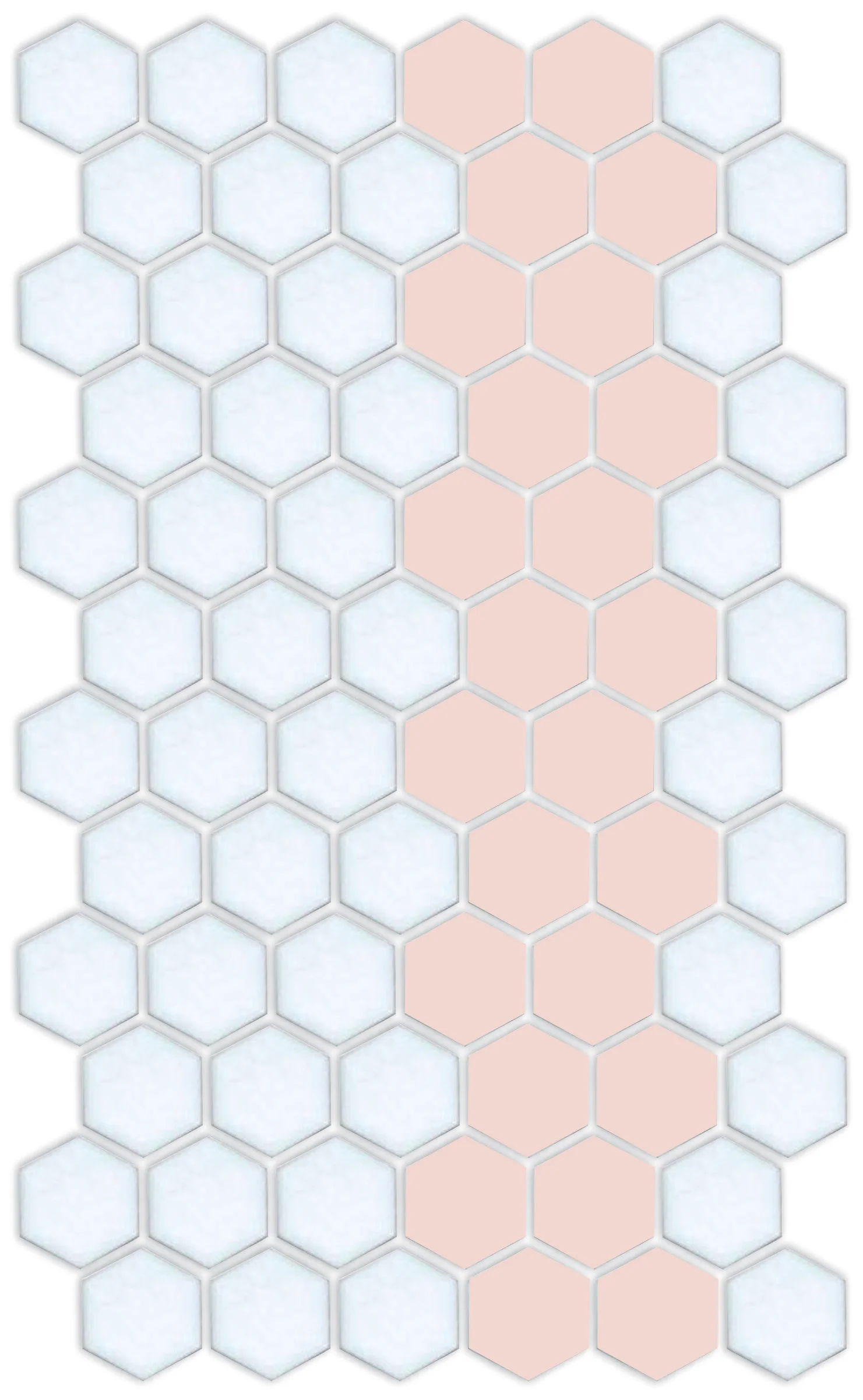 Lorida Border | Pinnacle Hexagon Border - Image 23
