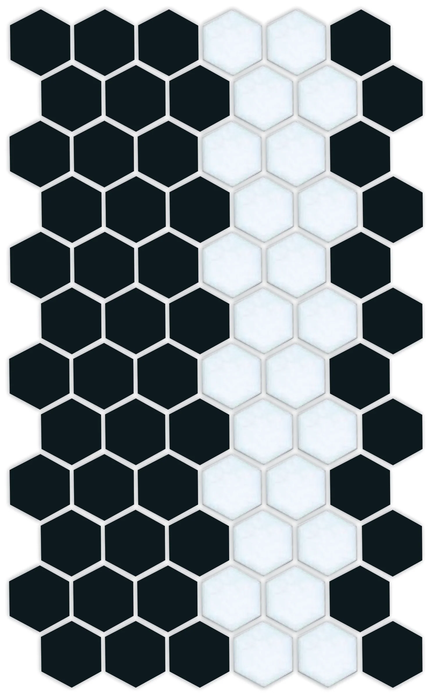 Lorida Border | Pinnacle Hexagon Border - Image 24