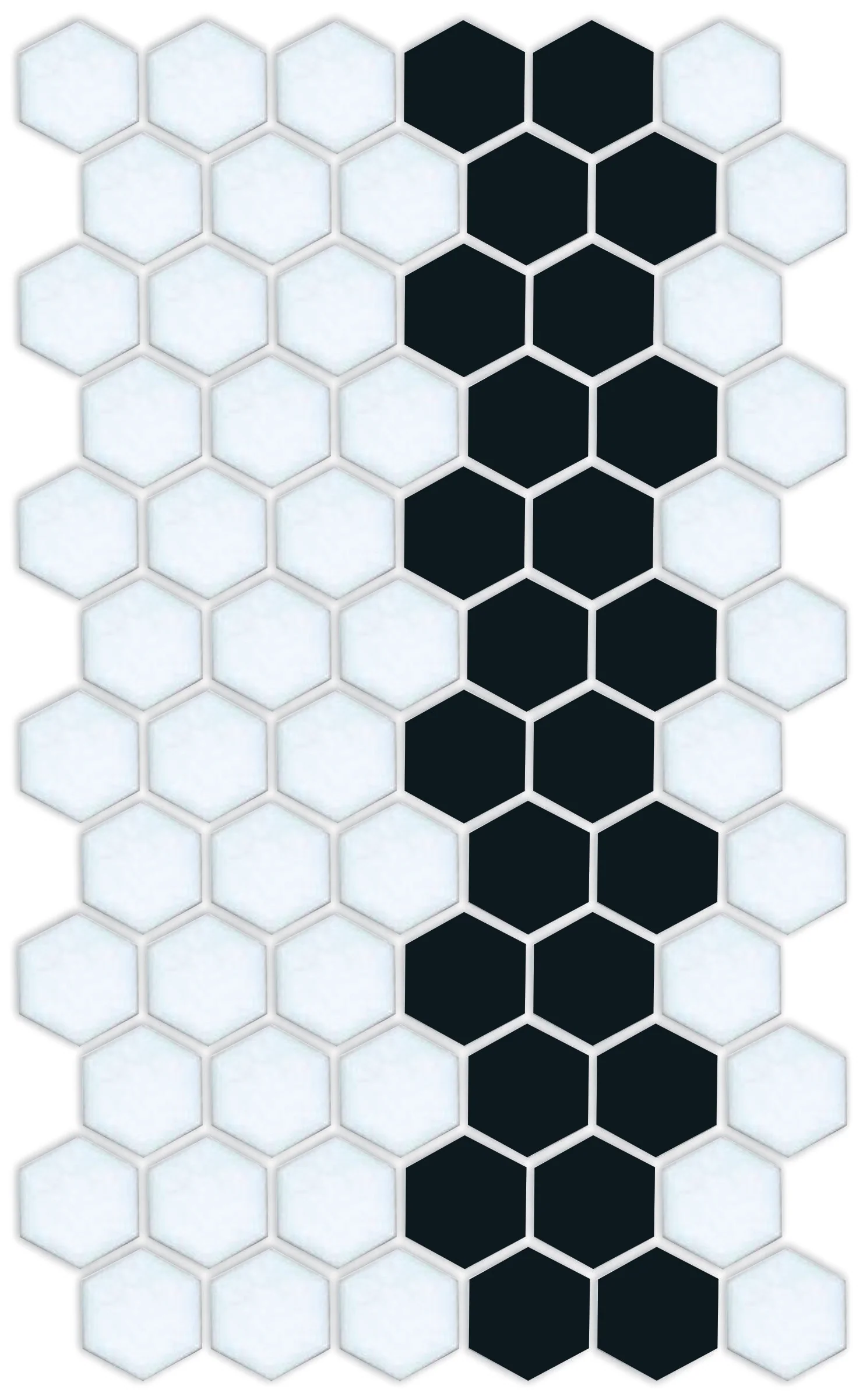 Lorida Border | Pinnacle Hexagon Border - Image 25