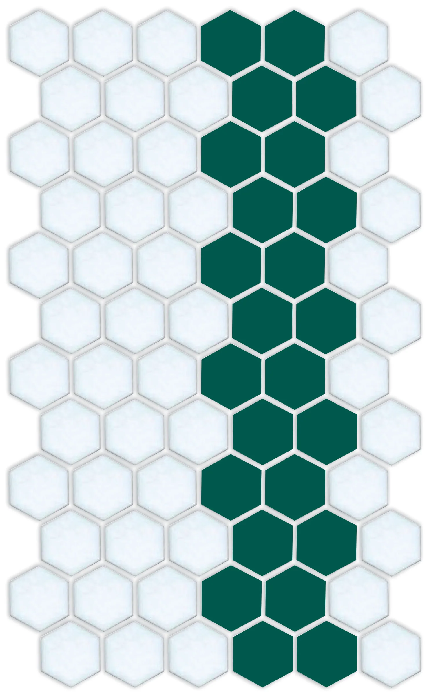 Lorida Border | Pinnacle Hexagon Border - Image 26