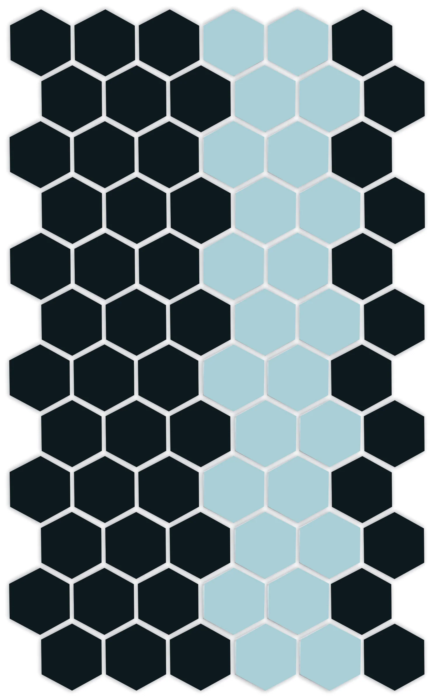 Lorida Border | Pinnacle Hexagon Border - Image 27