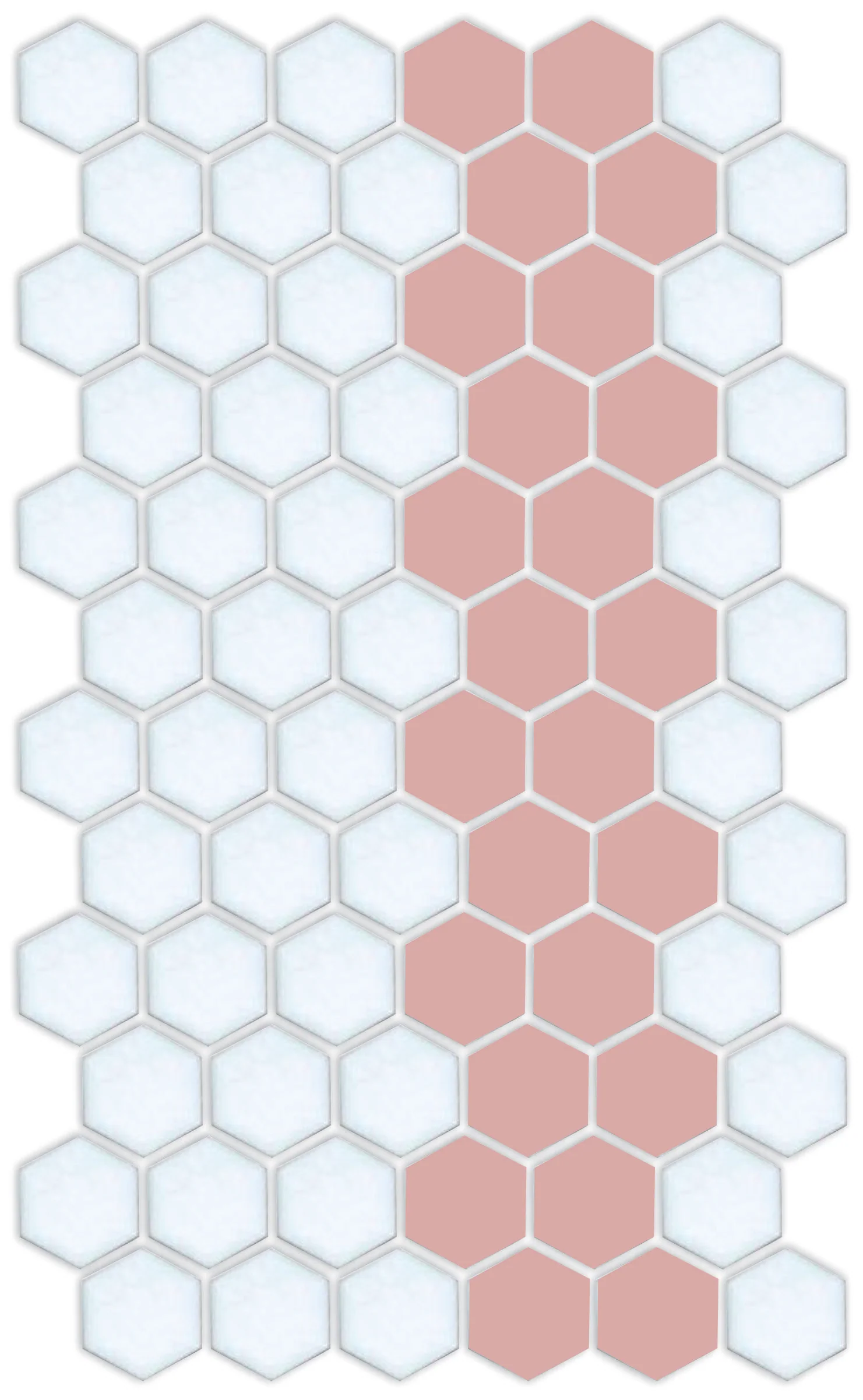 Lorida Border | Pinnacle Hexagon Border - Image 29