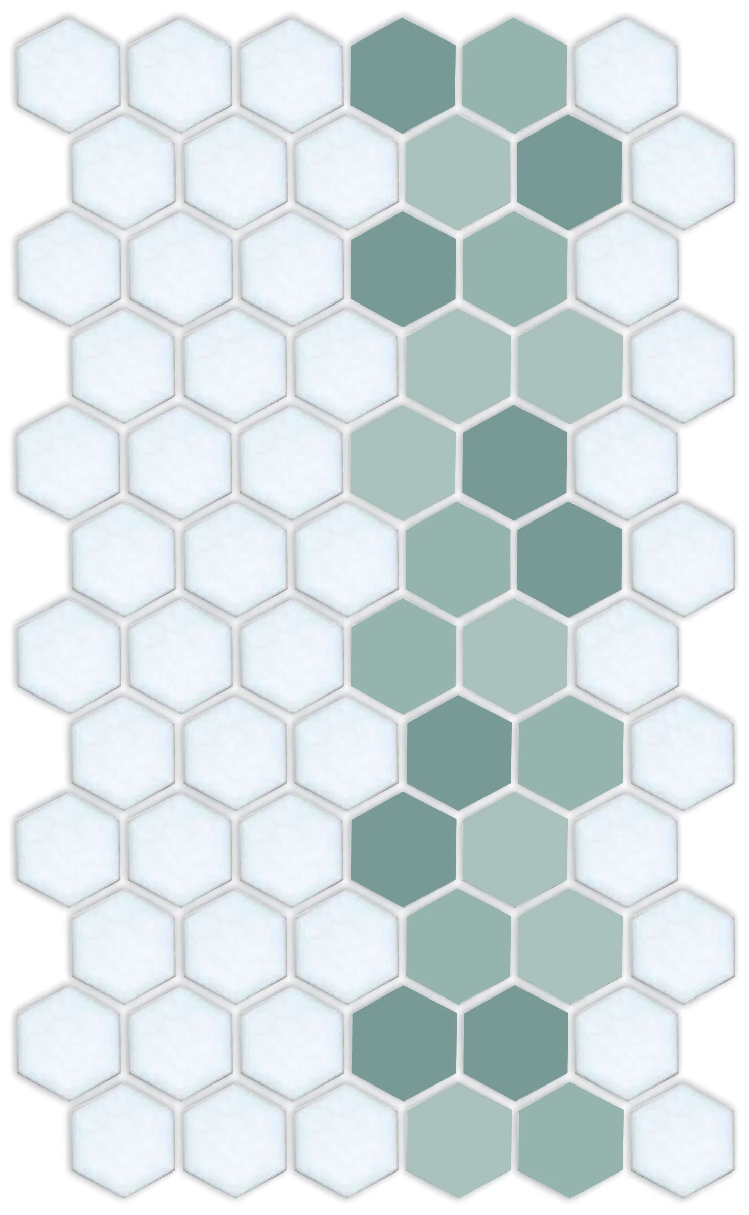 Lorida Border | Pinnacle Hexagon Border - Image 30