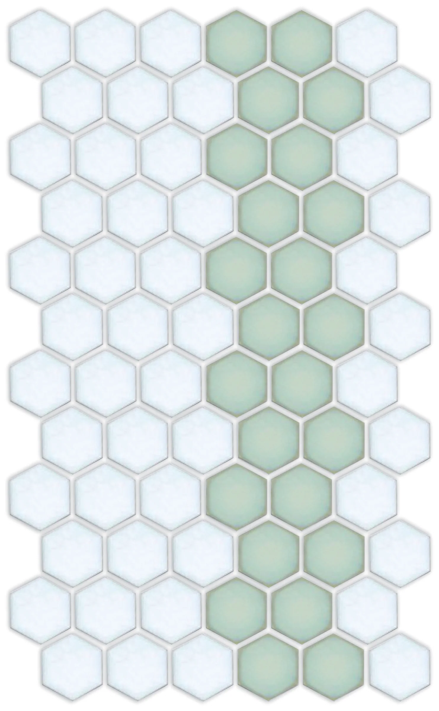 Lorida Border | Pinnacle Hexagon Border - Image 4