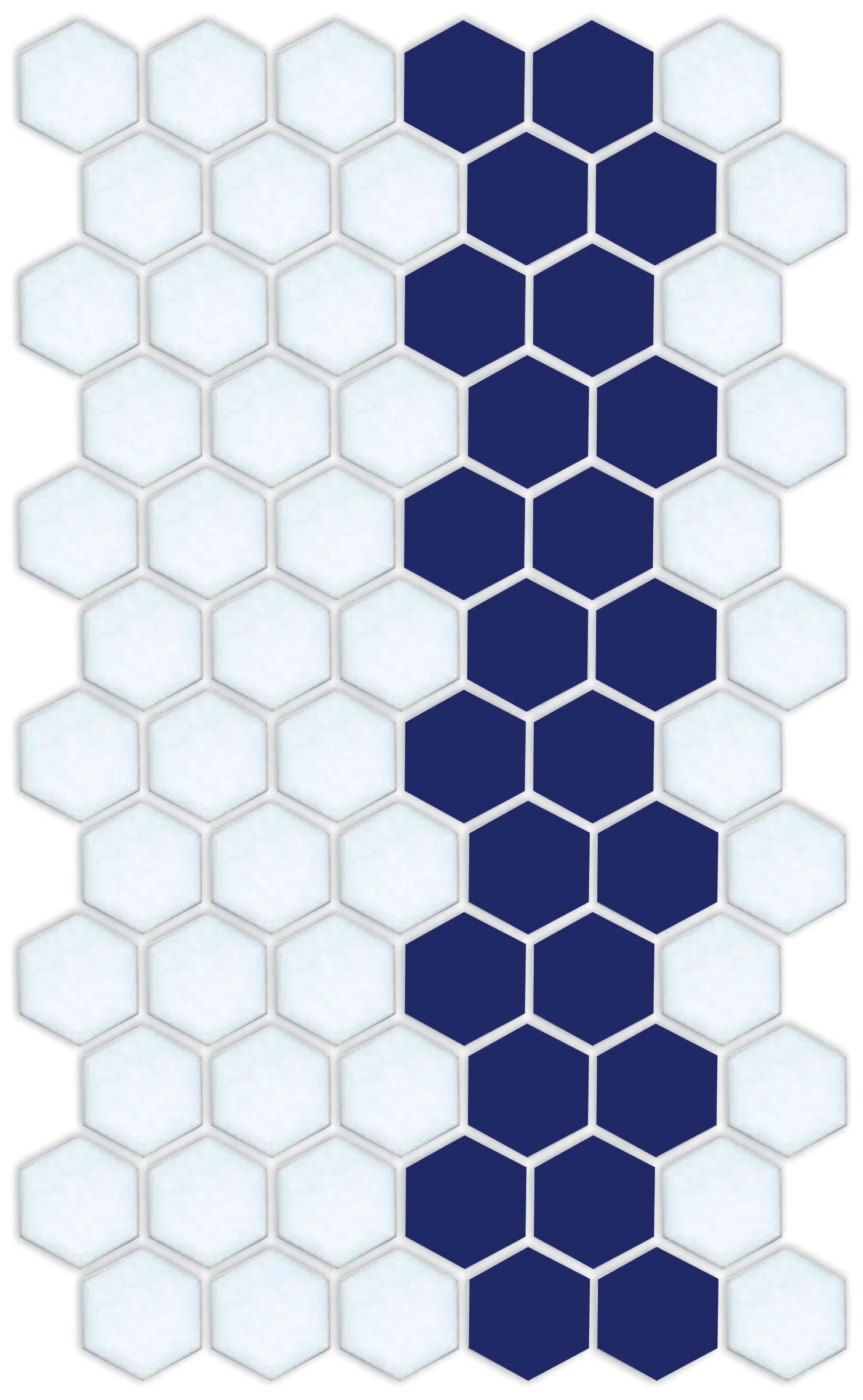 Lorida Border | Pinnacle Hexagon Border - Image 40