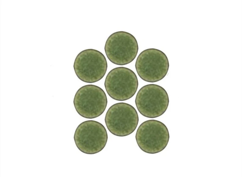 Lyric Wafer | Penny Tiles - Image 41