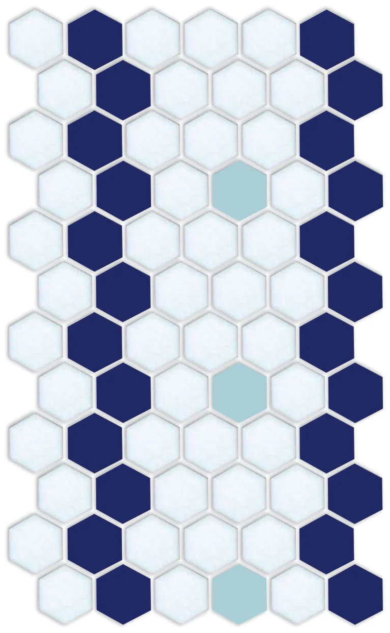 Sable Border | Pinnacle Hexagon Border - Image 13