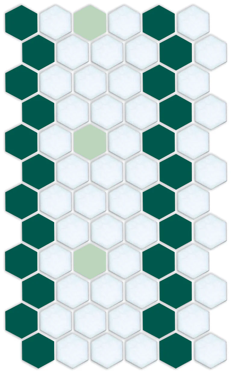 Sable Border | Pinnacle Hexagon Border - Image 14