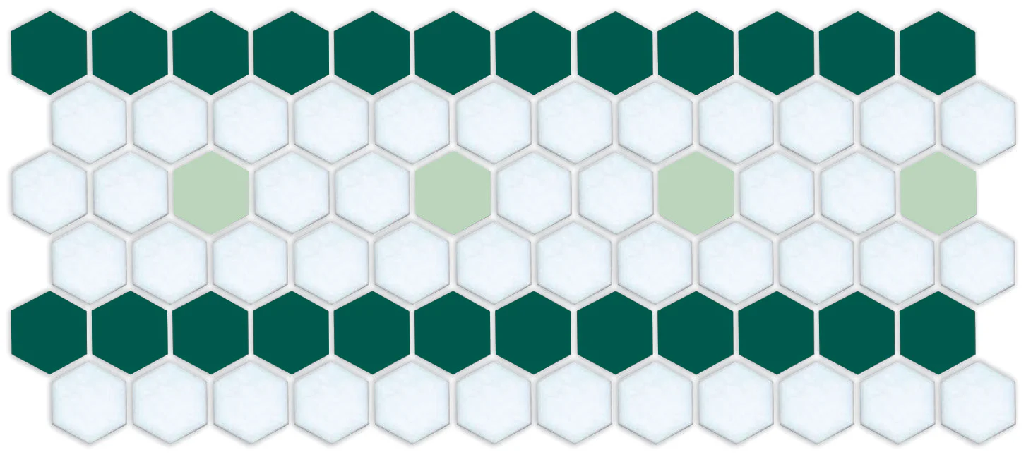 Sable Border | Pinnacle Hexagon Border - Image 18